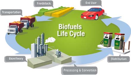 Biofuels-And-Renewable-Energy